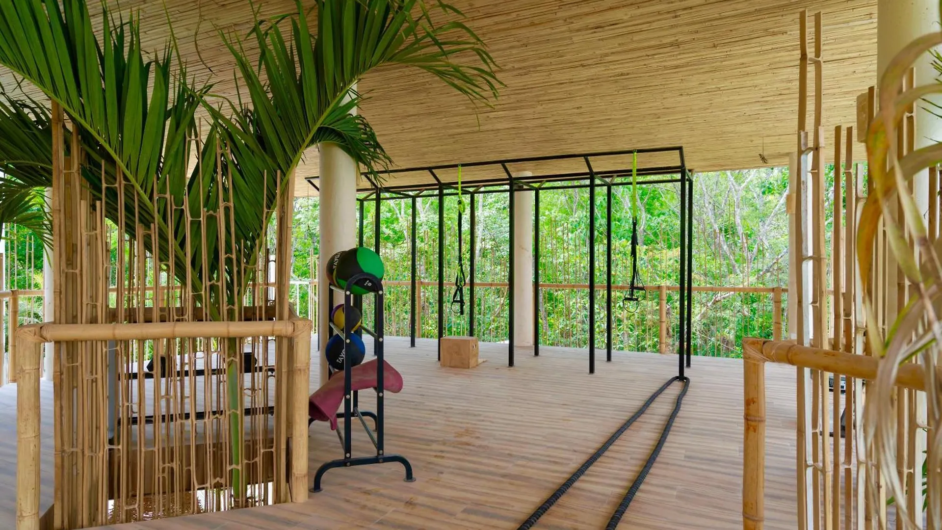 Beautiful Swim-Up Studio With Private Terrace, Pool And Jungle Gym Tulum 0*,  Mexico